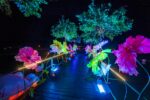 Flori gigant pentru evenimente | Set complet LW14 - imagine 3