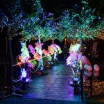 Flori gigant pentru evenimente | Set complet LW14